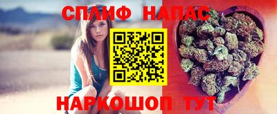 крисы Тула