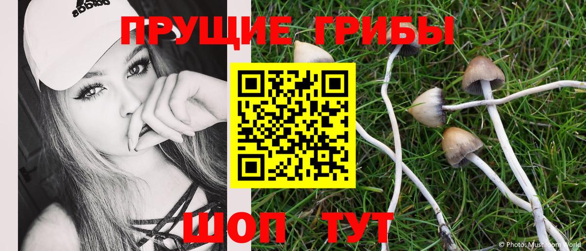 Псилоцибиновые грибы MAGIC MUSHROOMS  Вход с VPN  Светлоград 