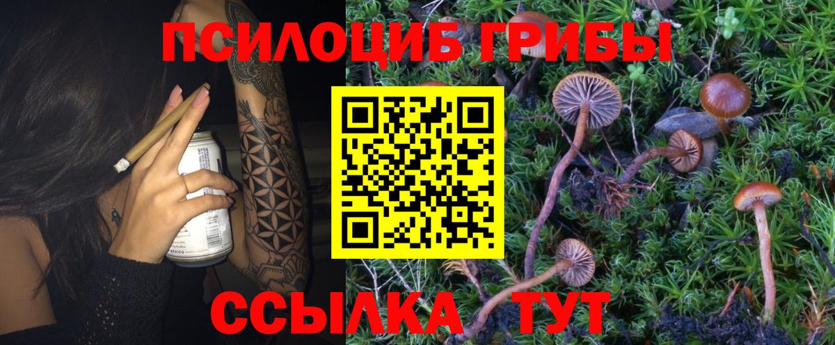 Галлюциногенные грибы Magic Shrooms Светлоград